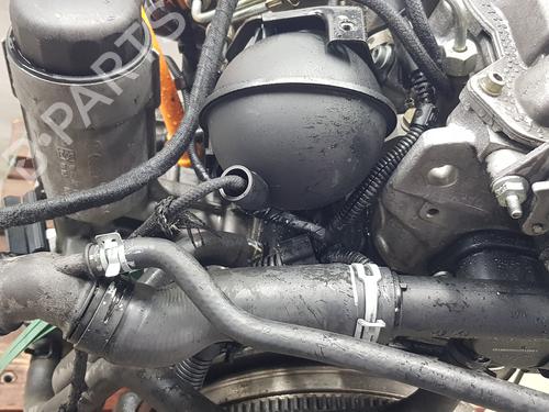 Engine SEAT LEON (1M1)  | BP32266505M1 