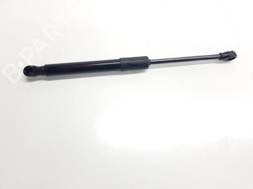 Otra Otra RENAULT RAFALE Coupe (DGM_) 1.2 E-TECH 200 Hybrid (DGM2) (200 hp) 34605785 34605785
