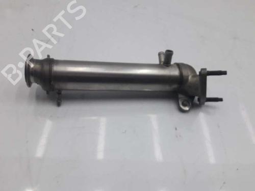 EGR-Ventil RENAULT VEL SATIS (BJ0_) 3.0 dCi (BJ0J, BJ0N) (177 hp) 14068293