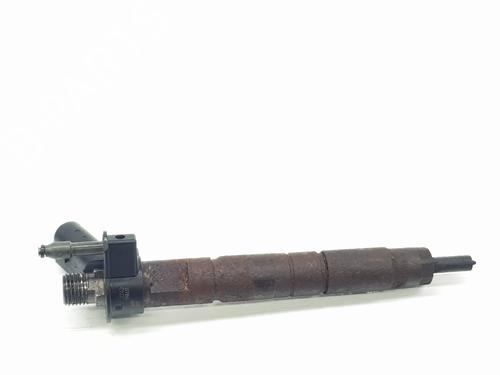 Injector BMW X6 (E71, E72) xDrive 40 d | BP24153293M100 
