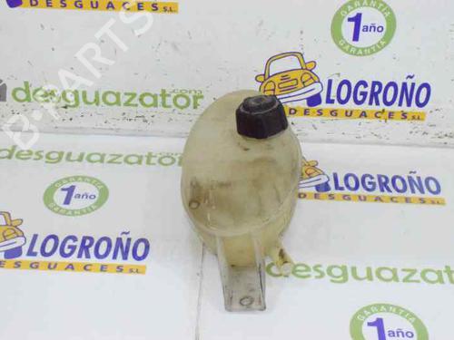 Expansion tank NISSAN PRIMASTAR Van (X83) 2.0 dCi 115 | BP1976449C120 