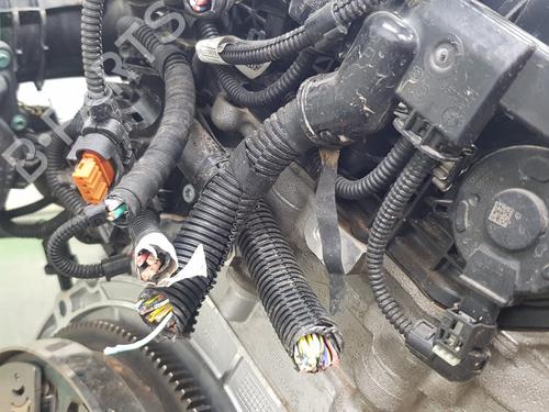 Engine BMW 1 (F40) 118 i | BP20192006M1 