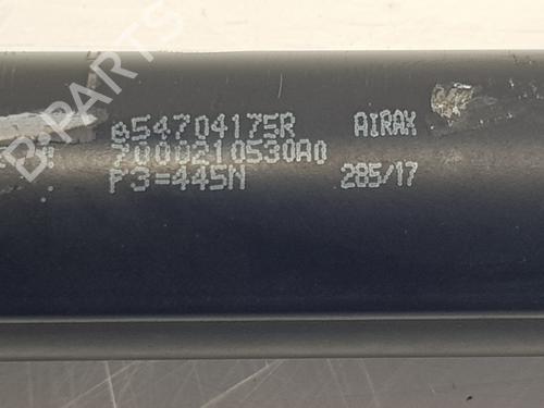 Hood lift support DACIA DOKKER MPV (KE_) 1.5 dCi (KEAJ, KEAH) | BP20197817C139 