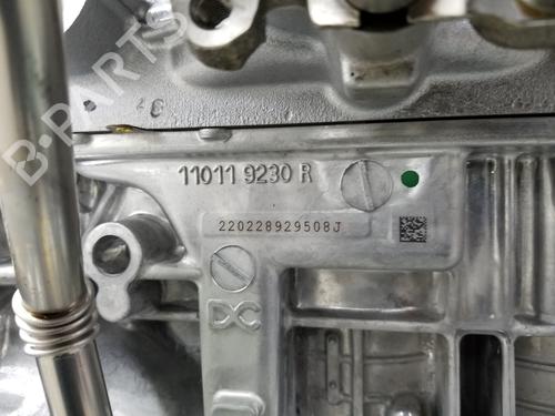 Engine RENAULT CLIO IV (BH_)  | BP21814063M1 