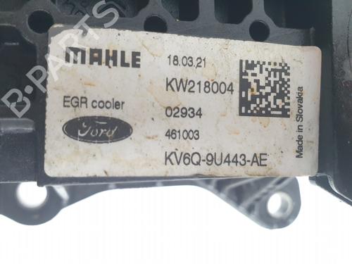 Egr FORD PUMA (J2K, CF7) | BP37429803M69 - Image 4