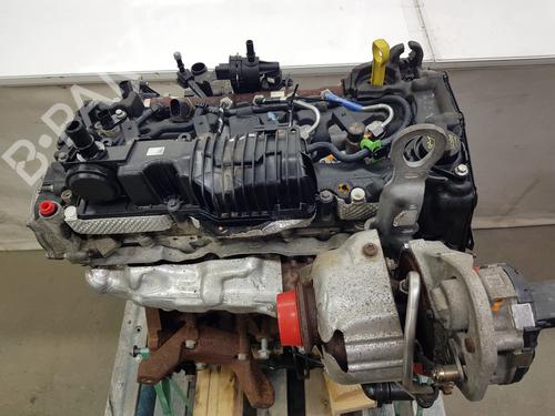 Used Engine Engine FORD TRANSIT CUSTOM V362 Van (FY, FZ) [2012-2026] 35976057 35976057