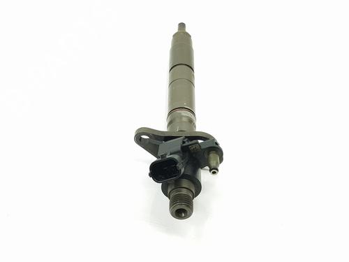 Injector LAND ROVER RANGE ROVER SPORT I (L320) 3.0 D 4x4 | BP24866495M100 