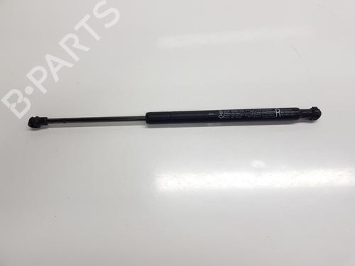 other-renault-arkana-i-lcm_-ldn_-2019-33861559 main image