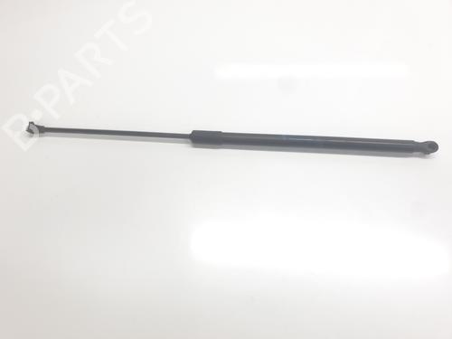 hood-lift-support-dacia-duster-hm_-2017-33274524 main image