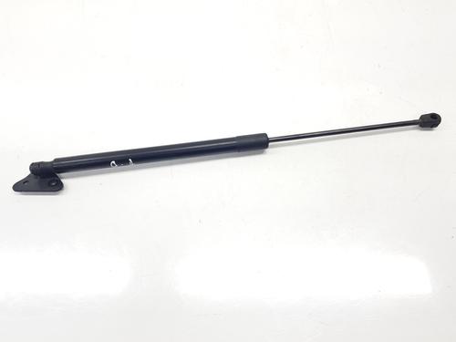Used Tailgate lift support NISSAN NAVARA NP300 (D40) 2.5 dCi 4WD (171 hp) 29633434