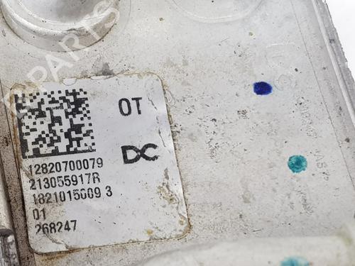 Oil radiator NISSAN QASHQAI II (J11, J11_) 1.3 DIG-T | BP31043882M33