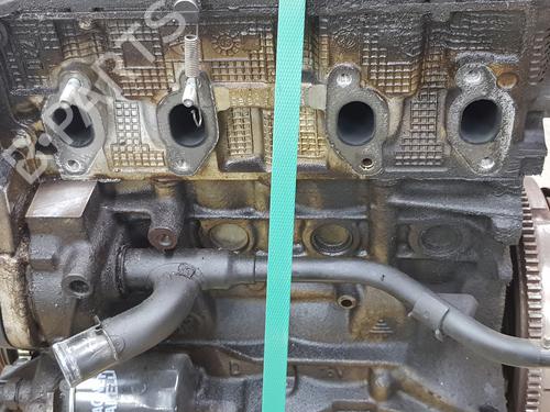Engine FIAT PANDA (169_) 1.2 (169.AXB11, 169.AXB1A) | BP38037942M1 - Image 8