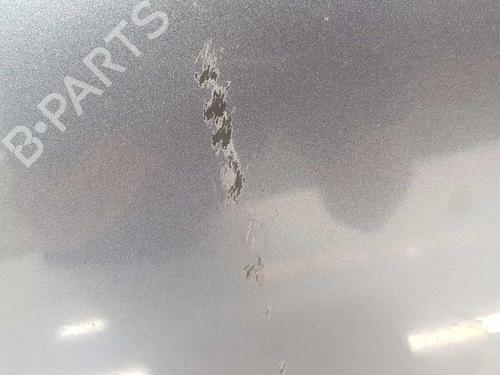Right rear door AUDI A6 C6 (4F2) 2.0 TDI | BP6571503C5 