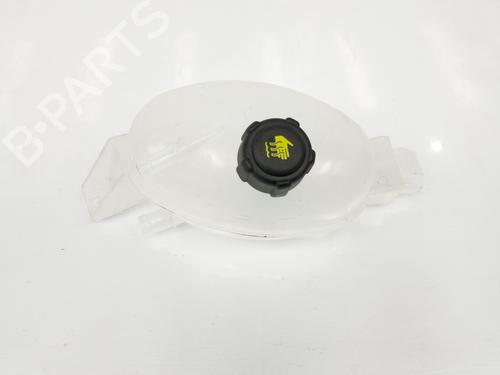 Used Expansion tank RENAULT MASTER III Van (FV) 2.3 dCi 135 FWD (FV0N, FV08, FV06, FV00) (136 hp) 9621339