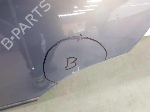 Left rear door BMW X5 (E53) 3.0 d | BP4215867C4 