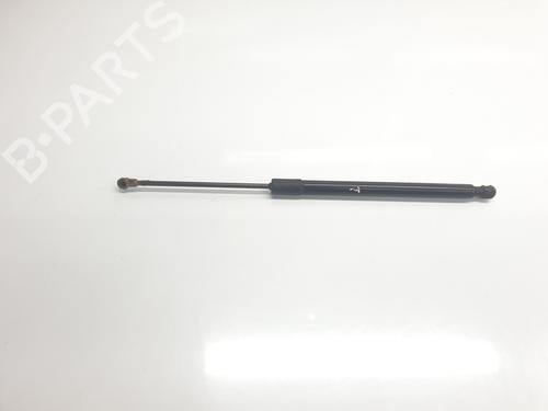 Used Tailgate lift support VW GOLF VII (5G1, BQ1, BE1, BE2) 1.2 TSI (105 hp) 22445549