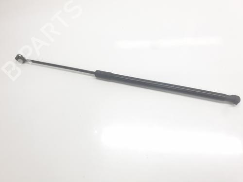 tailgate-lift-support-dacia-duster-hm_-2017-33274526 main image