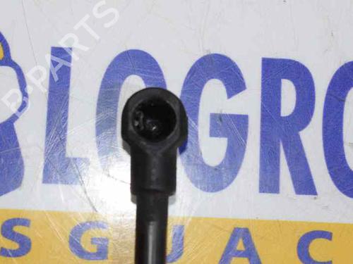 Hood lift support BMW 1 (E87) 118 d | BP14100244C139 