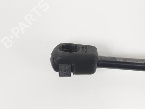 Tailgate lift support LANCIA DELTA III (844_) 1.6 D Multijet (844.AXC11, 844.AXC1A) | BP19111585C138 