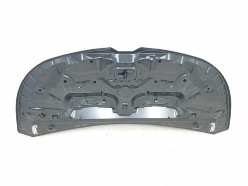 Hood RENAULT TRAFIC III Van (FG_) 1.6 dCi 140 (FGMA, FGMC) | BP30498583C1