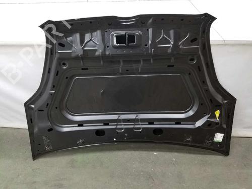 Hood OPEL COMBO Box Body/MPV (X12) 1.6 CDTI (B05) | BP10256800C1 