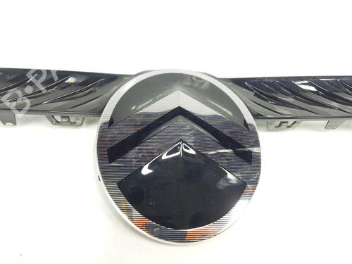 Grill CITROËN JUMPY III Van (V_)  | BP32072907C40 