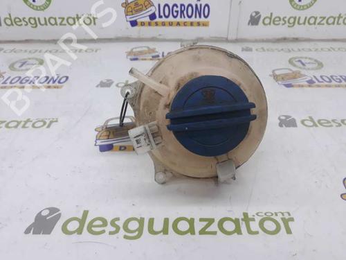 Used Expansion tank VW POLO V (6R1, 6C1) 1.2 (60 hp) 2510044