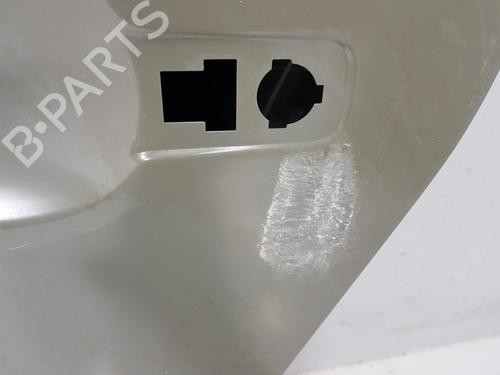 Left front door RENAULT TRAFIC III Van (FG_) 1.6 dCi 90 (FGME) | BP15597150C2 