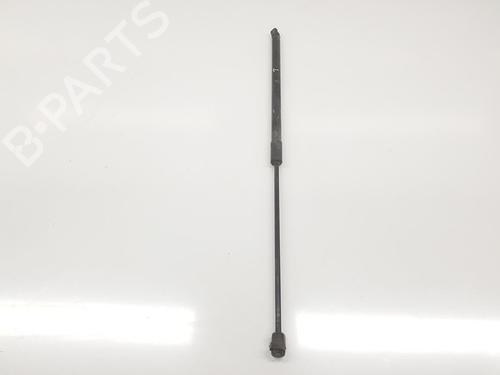 Tailgate lift support MERCEDES-BENZ GLC (X253) 250 d 4-matic (253.909) | BP14101699C138 