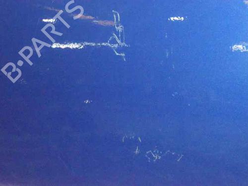 Left front door MINI MINI (R50, R53) Cooper S | BP1952611C2 