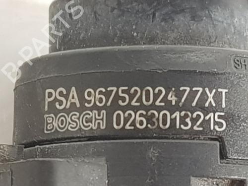 Other CITROËN C4 Picasso II  | BP32139659O1 