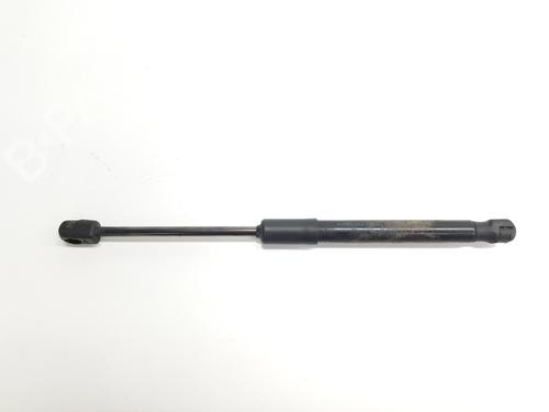 Used Hood lift support AUDI A6 C7 (4G2, 4GC) 2.0 TDI (190 hp) 29575330