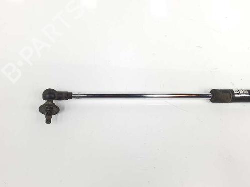Hood lift support TOYOTA LAND CRUISER PRADO (_J12_) 3.0 D-4D (KDJ120, KDJ125) | BP14087118C139 