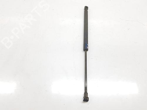 Tailgate lift support BMW 1 (E87) 118 d | BP14526154C138 