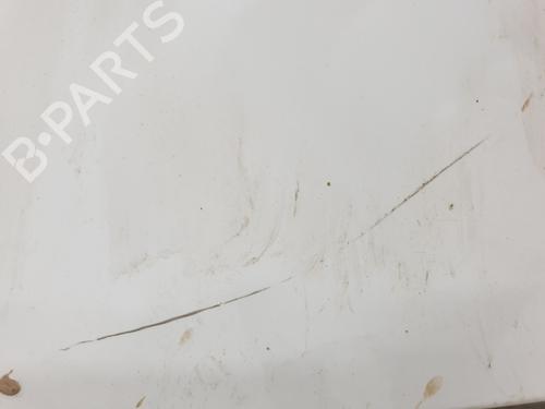 Hood NISSAN INTERSTAR Van (X62B) dCi 135 | BP27880785C1 