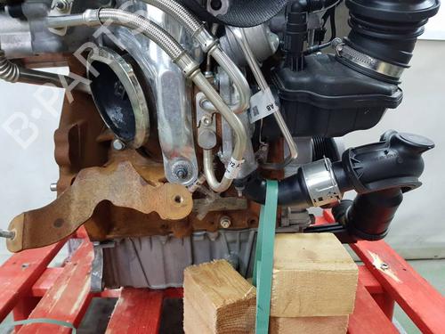 Engine FORD PUMA (J2K, CF7)  | BP36381604M1  - Image 14