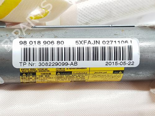 Right curtain airbag CITROËN C4 II (NC_)  | BP29316534C12 
