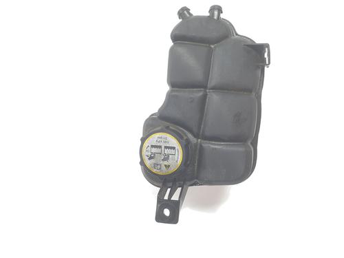 Expansion tank LAND ROVER RANGE ROVER EVOQUE (L538)  | BP29541627C120 