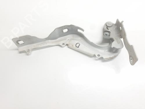 hingedoor-check-strap-citroen-c3-iii-sx-2016-35965993 main image