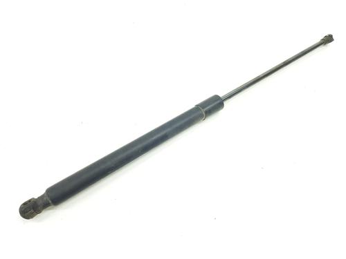 tailgate-lift-support-renault-arkana-i-lcm_-ldn_-2019-34372459 main image