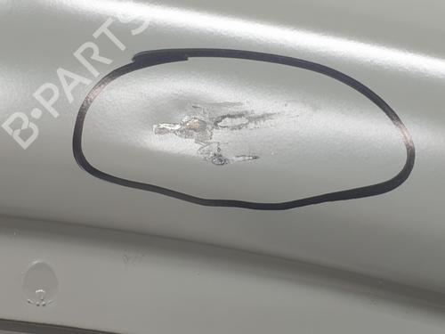 Right front door RENAULT TRAFIC III Van (FG_) 1.6 dCi 140 (FGMA, FGMC) | BP29915202C3