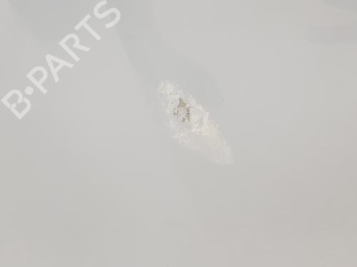 Hood RENAULT TRAFIC III Van (FG_) 1.6 dCi 140 (FGMA, FGMC) | BP29942152C1