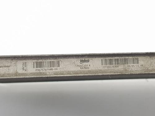 Water radiator CITROËN JUMPY III Van (V_) | BP31991969M31