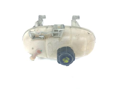 Expansion tank RENAULT TRAFIC III Van (FG_) 1.6 dCi 115 (FGMD) | BP12460958C120 