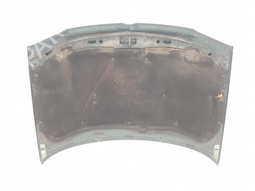 Hood VW GOLF IV (1J1) 1.9 TDI | BP11843895C1 