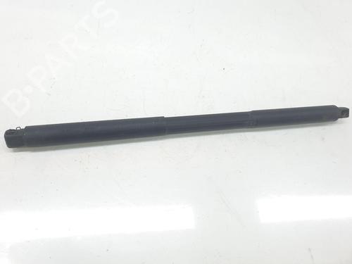 Gassdemper Bakluke MERCEDES-BENZ GLE (W166) 350 d 4-matic (166.024) (258 hp) 18137350