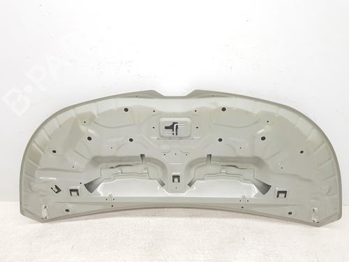 Hood RENAULT TRAFIC III Van (FG_) 1.6 dCi 140 (FGMA, FGMC) | BP30262877C1 