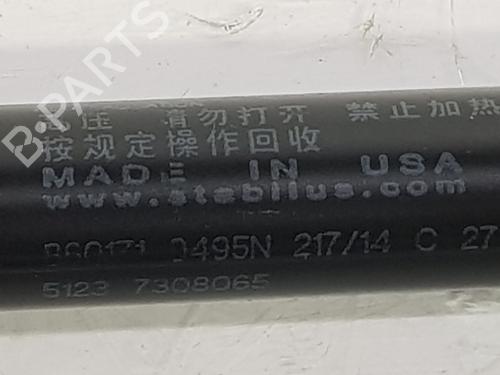 Hood lift support BMW X5 (F15, F85) xDrive 30 d | BP14091848C139 