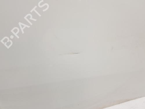 Right front door FIAT PUNTO EVO (199_) 1.3 D Multijet | BP7851978C3