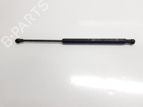 other-renault-arkana-i-lcm_-ldn_-2019-34252631 main image